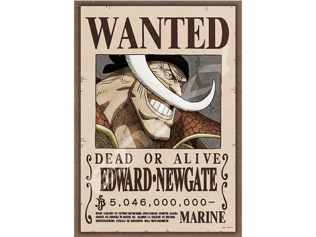 One piece puzzle - Newgate